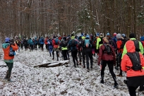 Salamandra Ultra Trail